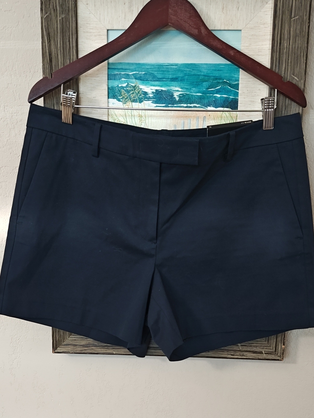 Ann Taylor Devin Fit Shorts, 12, NWT